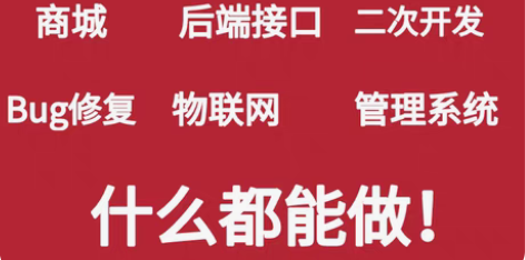 php程序代做开发定制编程语言mysql数...
