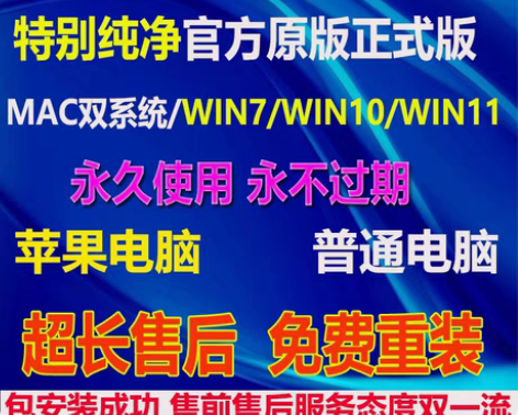 远程维修电脑、在线重装系统官方纯净版、升级...