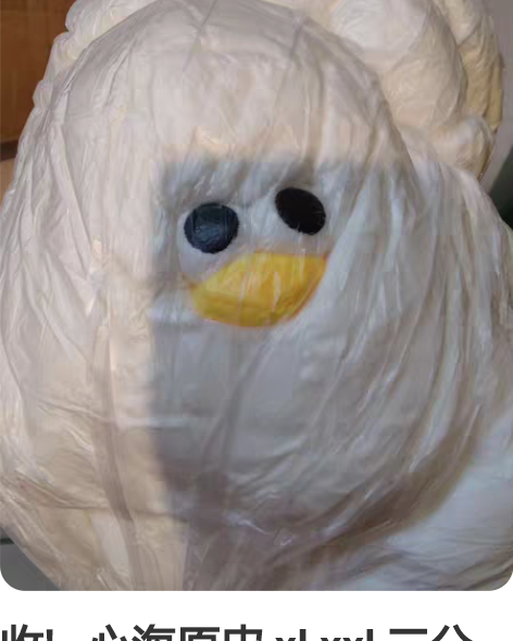 收! 心海原皮 xl xxl 三分妄想...