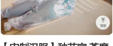 【宋制汉服】种花家 荼靡宋制三件套 吊带和...