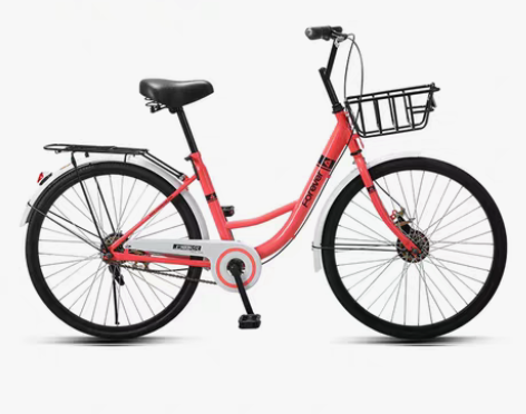 转卖【狂欢价】官方旗舰店永久牌实心胎自行车...