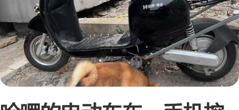 哈啰的电动车车，手机控制没有钥匙，车辆移动...