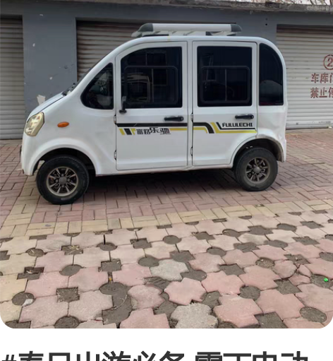 #春日出游必备 雷丁电动汽车雷迈电动汽车丽...