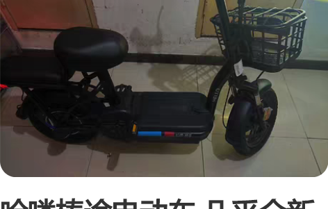 哈喽棒途电动车 几乎全新 原装锂电池续航非...