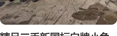 精品二手新国标白牌小龟电动车合集，雅迪台铃...