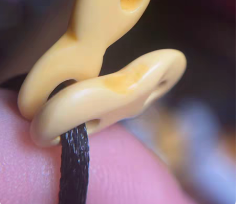 包邮老蜜胺8字环，赛璐璐，皮壳很好，孔道磨...