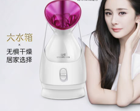转卖金稻蒸脸器纳米喷雾补水仪美容喷雾热喷美...