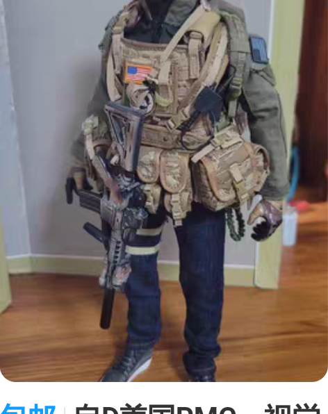 包邮自D美国PMC。视觉系，无考证。二手模...