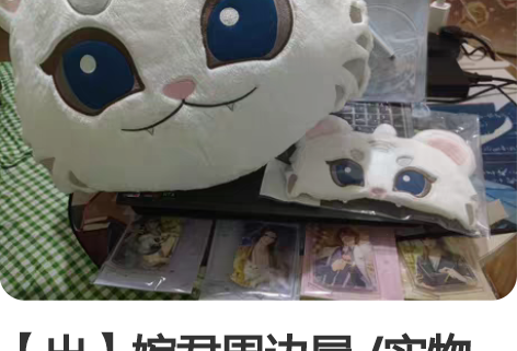 【出】婉君周边屋 /实物 白虎抱枕 白虎眼...