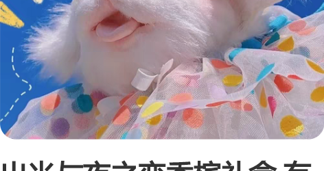 出光与夜之恋香槟礼盒 有7和5的 标价不包...