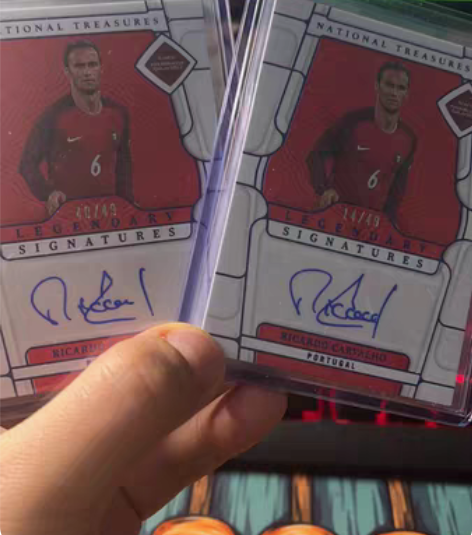 包邮国宝！夺冠热门葡萄牙！名宿！卡瓦略49...