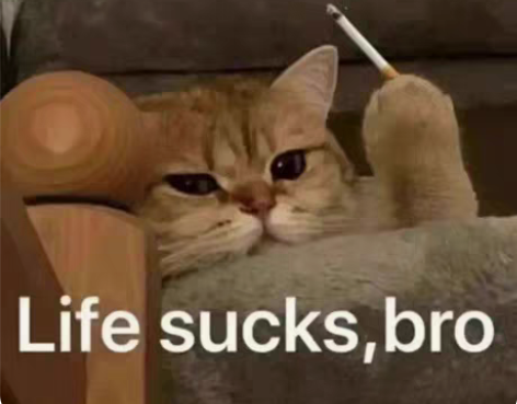 英语口语1v1陪练和教学，有需要的可以私聊...