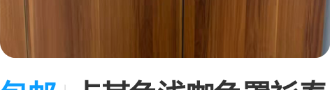 包邮卡其色浅咖色罩衫春夏款杏色罩衫 全新包...