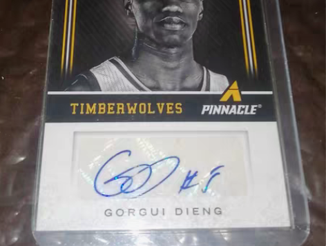 戈尔吉.迪昂,森林狼,现已加盟马刺队,曾单...