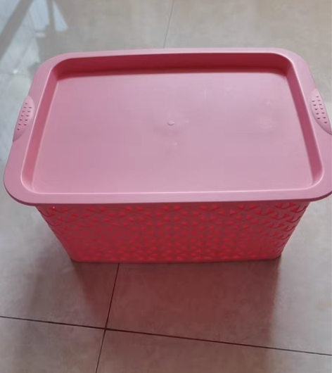 转卖Citylong/禧天龙 收纳箱 感兴...