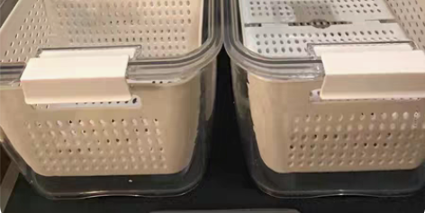 包邮【捡漏】收纳盒塑料沥水篮保鲜盒冰箱收纳...