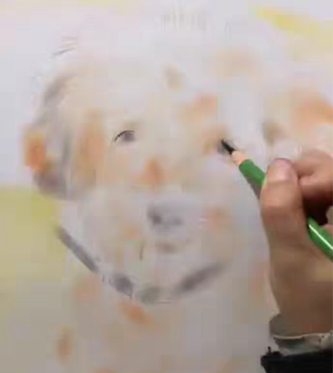 素描画像定制手绘彩铅代画人物画肖像画真人照...