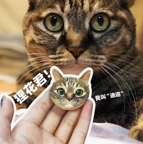 香薰石膏宠物定制头像，全部一线美院手绘师亲...