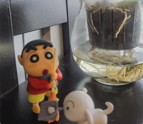 蜡笔小新日常系列盲盒潮玩手办动漫周边心意礼...