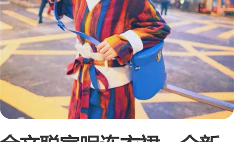 金文聪家呢连衣裙，全新吊牌在，未洗，未穿过...