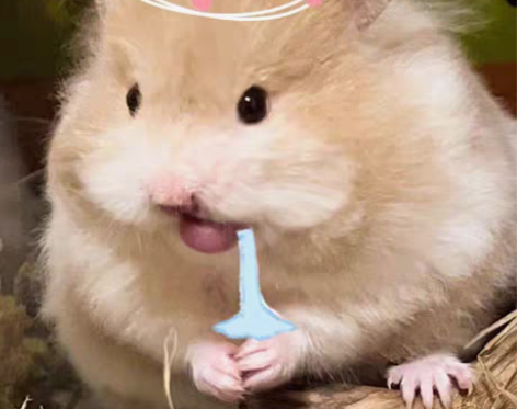 【收】齐司礼##amp；amp；萧逸的10...