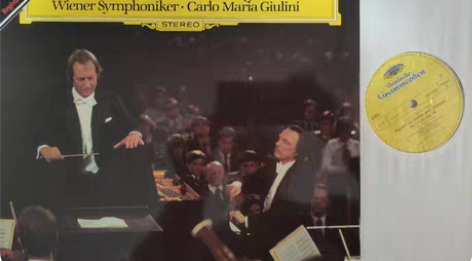 包邮正版唱片 孙露2022新专辑 对你太在...