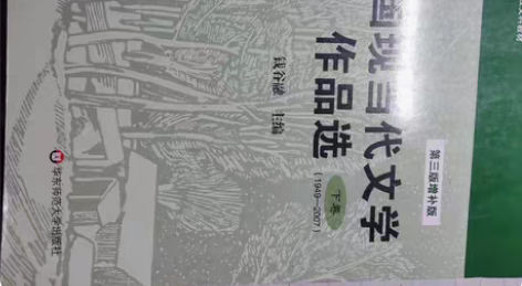 出《中国现当代文学作品选》上册 大四清书便...
