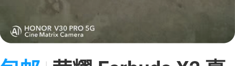 包邮荣耀 Earbuds X2 真无线蓝牙...