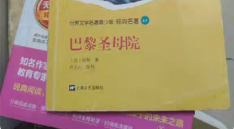 巴黎圣母院，搬家清理了，9块钱一本书 感兴...