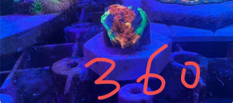 调色盘,顺丰到付24h包损 感兴趣的话点“...