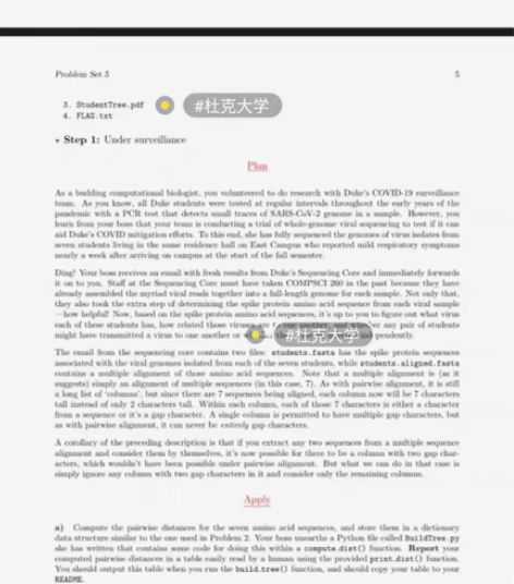 留学生英文计算机辅导R语言 Java C语...