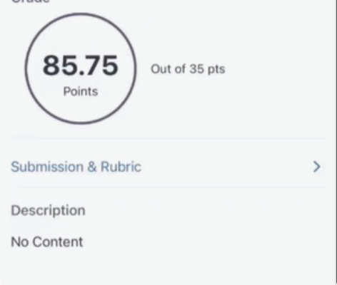 留学生辅导 会计学习  统计 经济  金融...