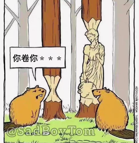 留学生程序辅导C/C++/C#/Java/...