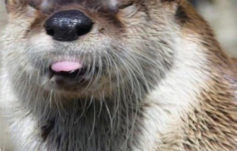 985电子信息硕士在读，程序指导 简介：9...