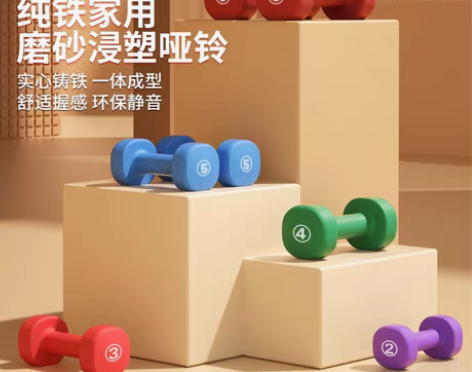 转卖PROIRON哑铃一对女士家用健身器材...