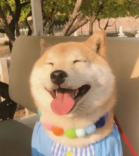 一对一 120/1.5h 帮助学生英语提分...