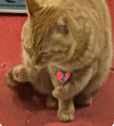 Apple/苹果 iPad Air4 20...