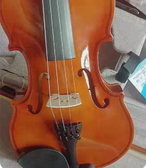 出一个uaer小提琴，适合初学者入门，之前...