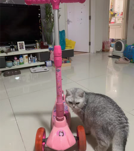 转卖粉色艾莎公主款迪士尼滑板车，橡胶轮厚实...