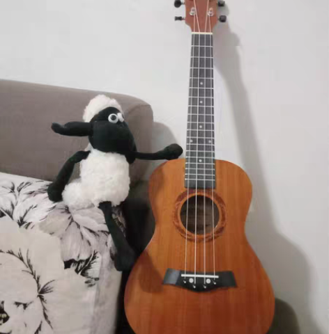 全新尤克里里琴行库存清仓原价800多的手工...