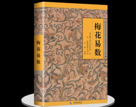 包邮尾货清仓包邮价梅花易数白话讲义精解占卜...