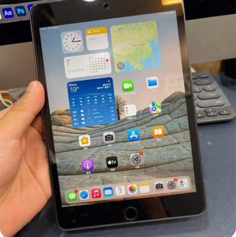 个人闲置转让iPad mini5代 64g...