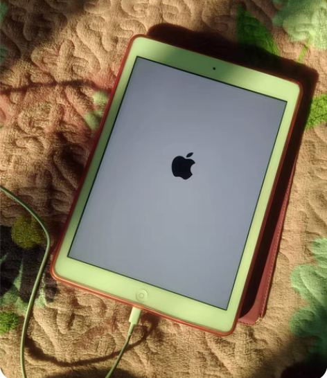 品牌型号 ：iPad 新旧程度 ：98新转...