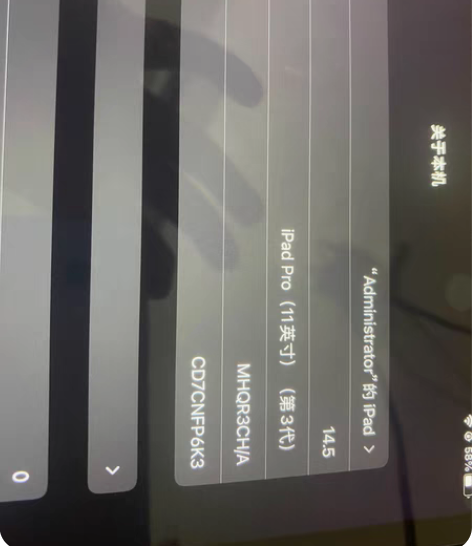 Apple/苹果 iPad Pro 11英...