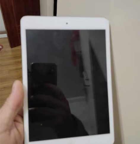 闲置 ipad mini 多正常,有想要的...