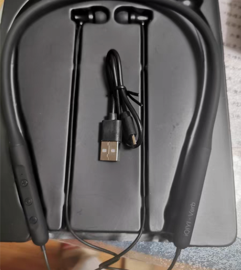 全新爱奇艺蓝牙5.0运动耳机，江浙沪包邮！...