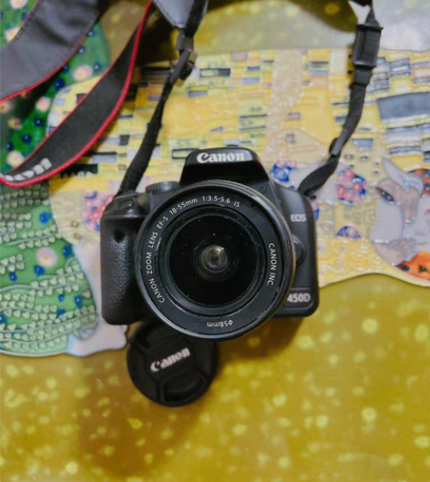 入门单反 自用闲置佳能450d  电池不太...