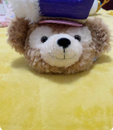 达菲5周年熊卡通动漫单肩包斜挎包小包 ，有...