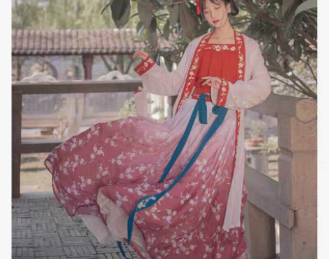 包邮五五年原创宋制汉服女{梨花}长褙子吊带...