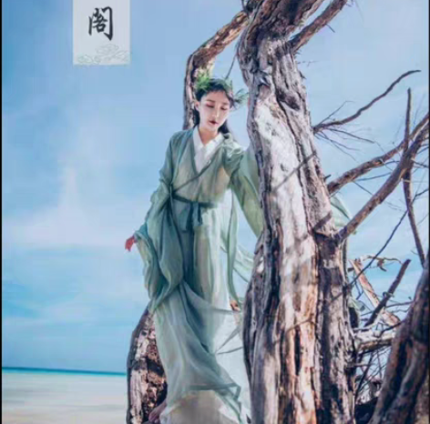 司南阁原创清平调子宋制汉服女款交领长衫大袖衫三件套 s码 穿...